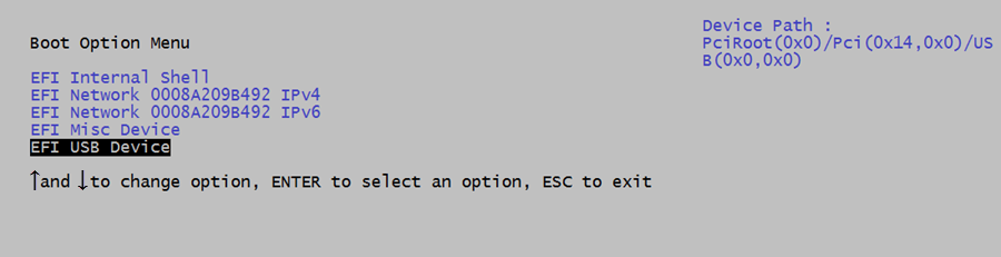 Boot the board from the USB flash drive - Boot Options screen