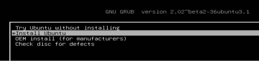 Booting the board from the USB flash drive - GNU GRUB (GRand Unified Bootloader) option screen